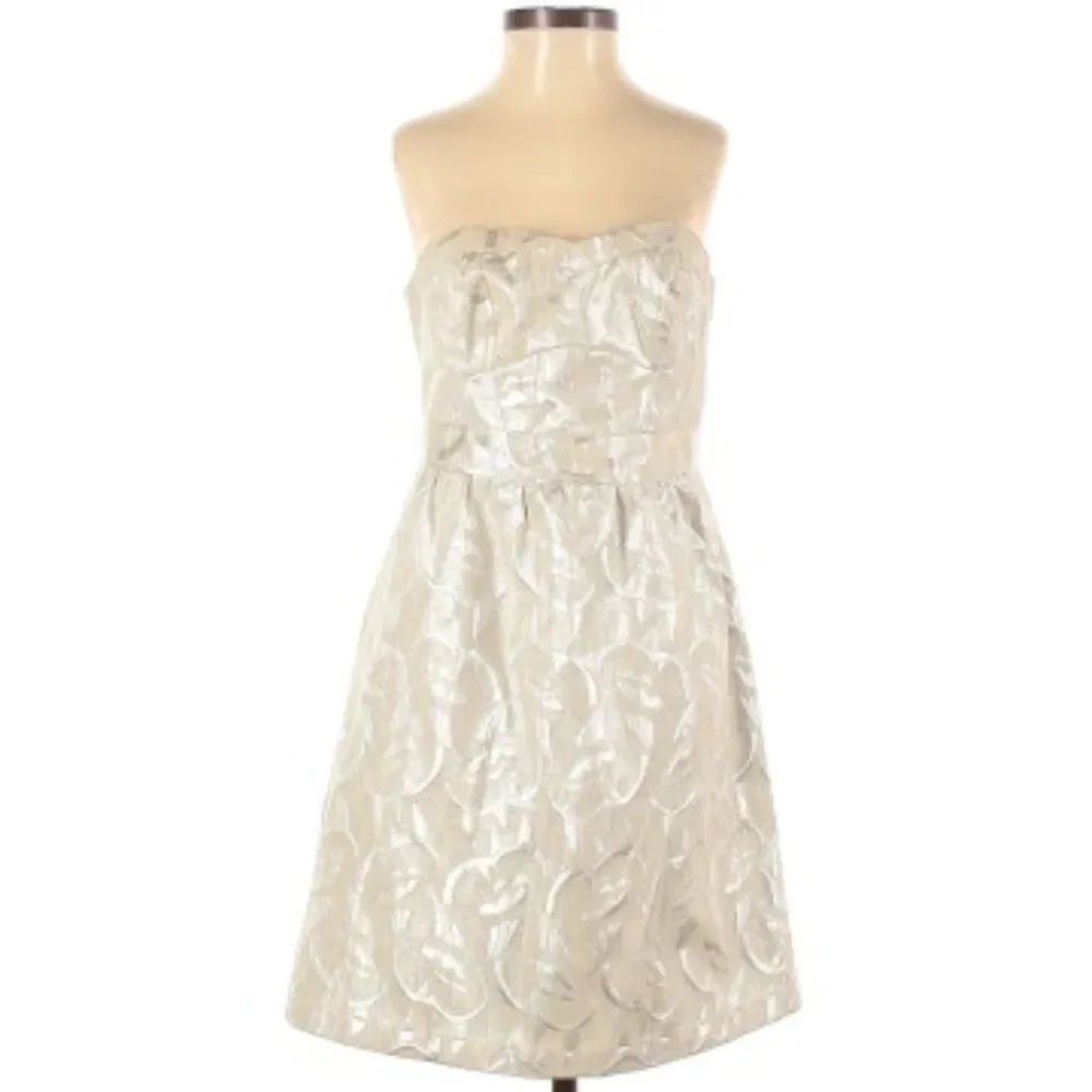 NWT American Eagle Outfitters Dress: Size 2